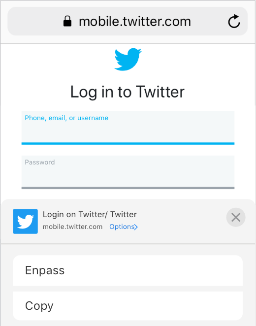 enpass import ewallet enpass import ewallet
